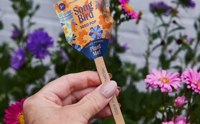 Pollinator seed Loolipop