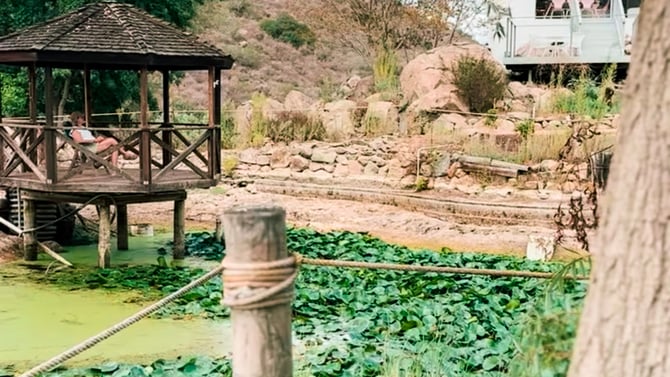 Regenerative Reset Program San Diego
