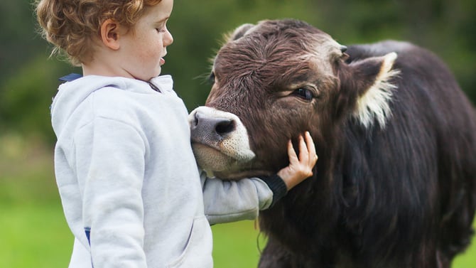 Care Farming