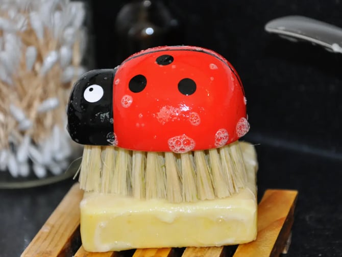 Lady Bug Brush