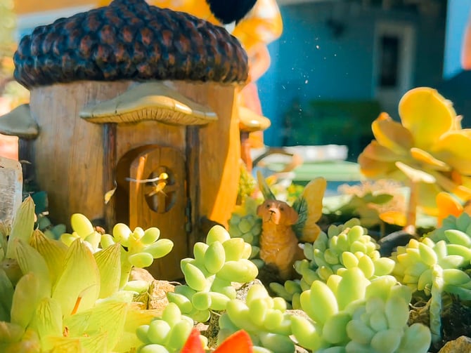MossMagic-1.jpg